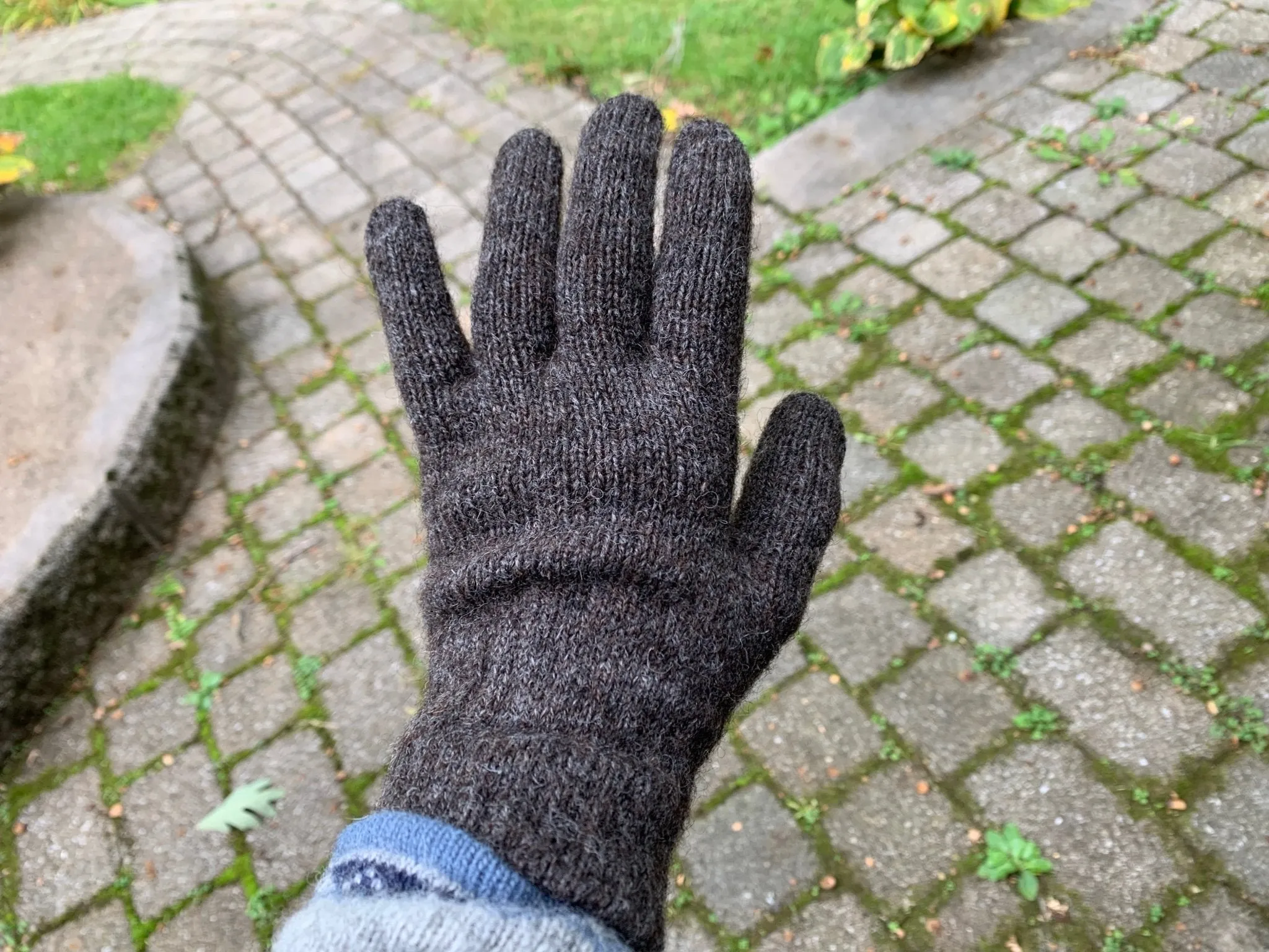 Alpaca Outdoor Gloves