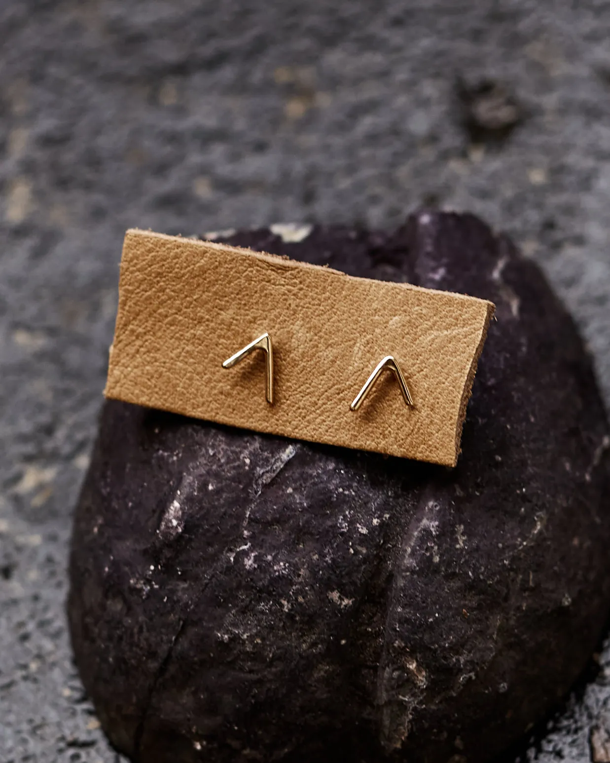 Another Feather Small Dart Studs, 14k Gold