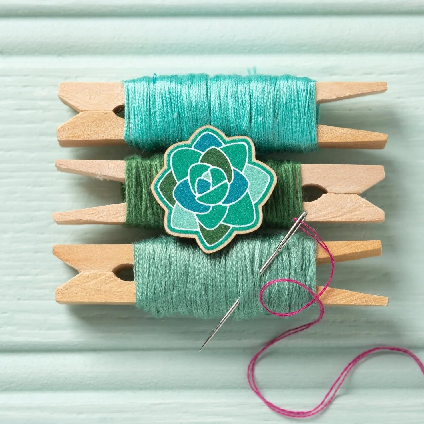 Succulent Magnetic Needle Minder