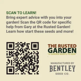 TRG QR Scan and Grow Seed Packs: Lettuce Seeds Buttercrunch (Heirloom)